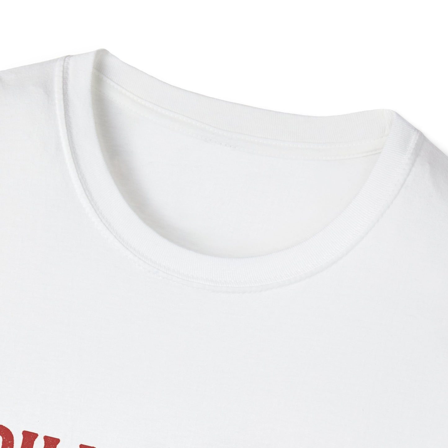 Spillin’ the Tea Since 1773 Tee (front design) – American Pride Shirt